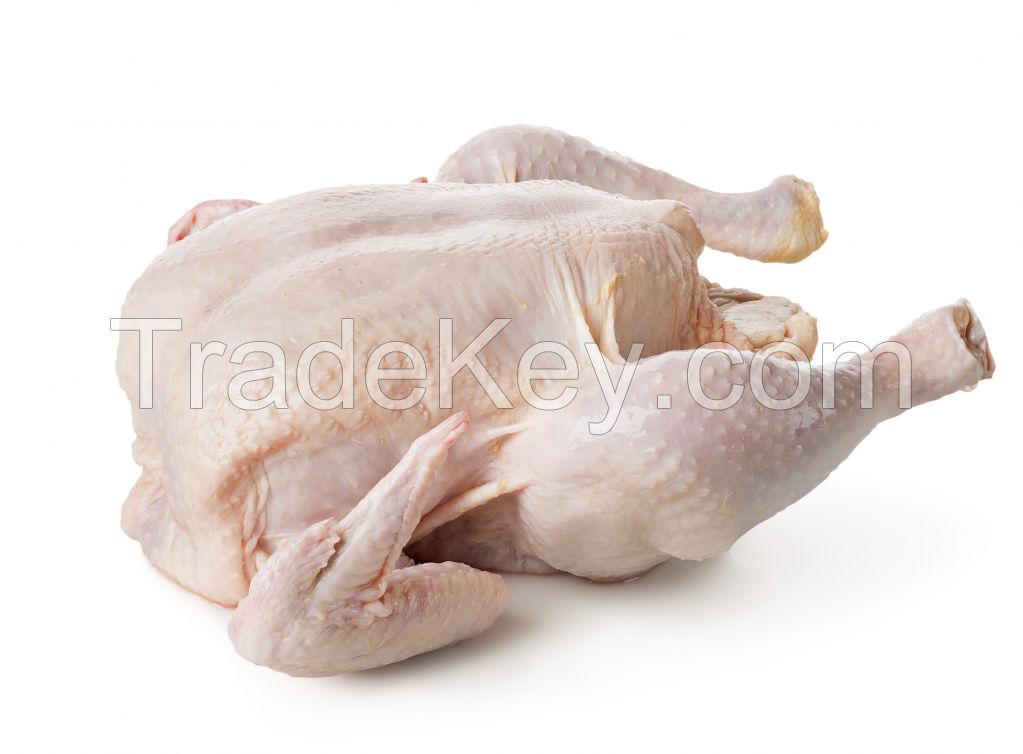 GRADE A HALAL CERTIFIED FROZEN WHOLE CHICKEN READY FOR SHIPMENT.