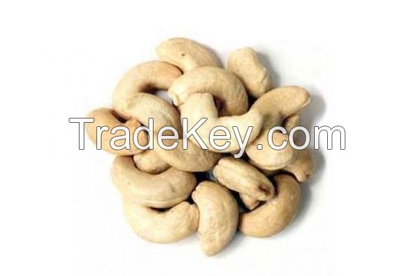 RAW CASHEW NUT/ CASHEW KERNEL CHEAP PRICE