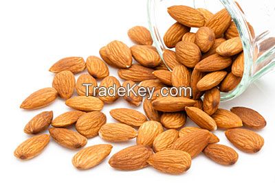 Best Quality Raw Almond Nuts
