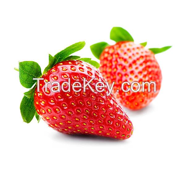 Export bulk fresh strawberries with strawberries wholesale