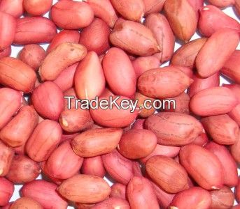 Goods Quality Best Quality Peanuts Inshell and without shell