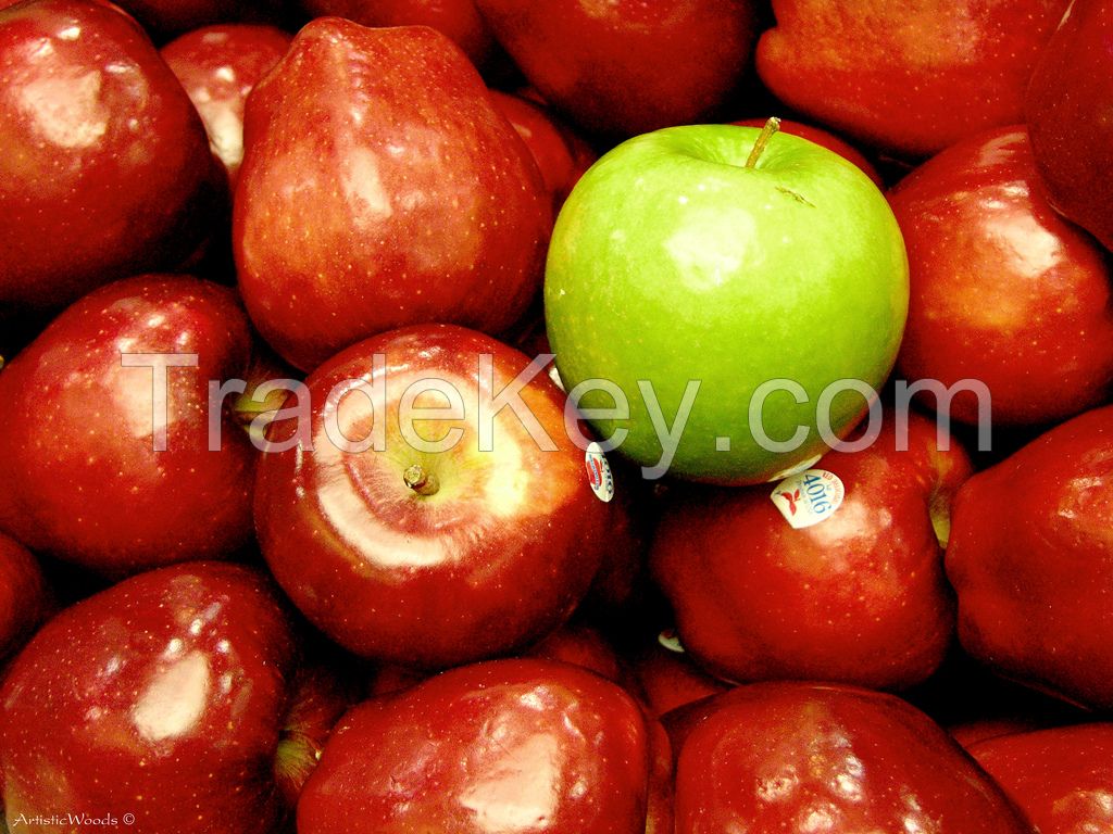 Grade A Fresh Apples