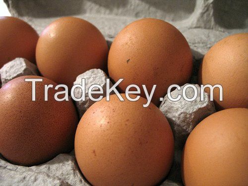 QUALITY CHICKEN EGGS AT CHEAP PRICE/ FRESH BROWN EGGS