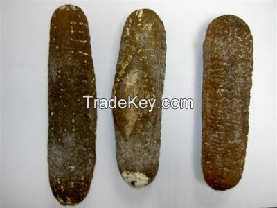 Dreid Sea Cucumber and Sea Food