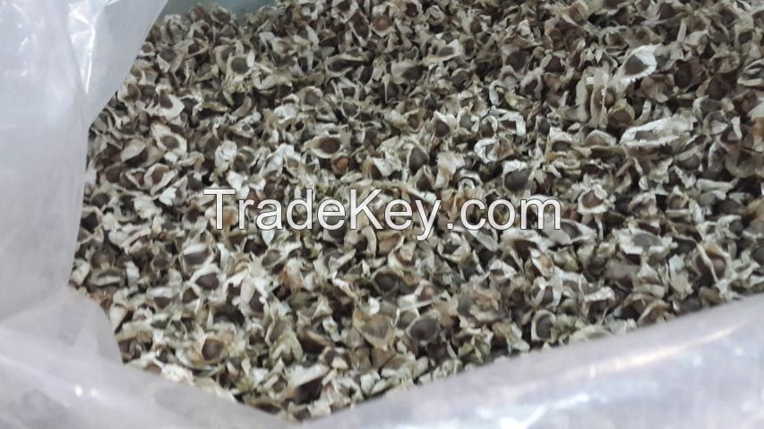 Moringa Seed