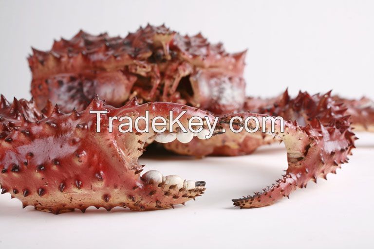 Live and Frozen Red King Crab