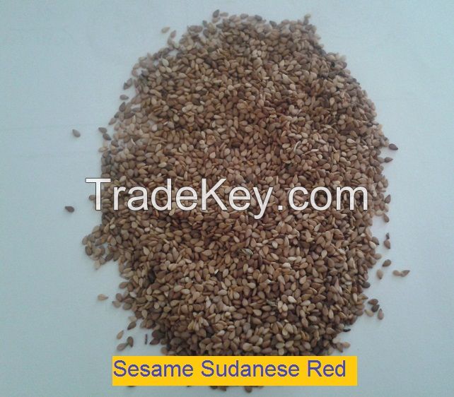 Sesame Seeds