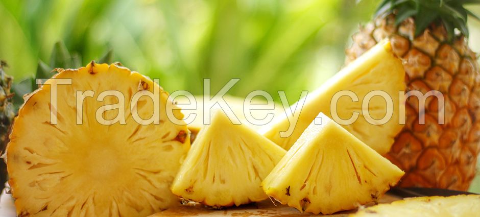 High Quality and Natural Pineapple Extract Enzyme Bromelain for sale