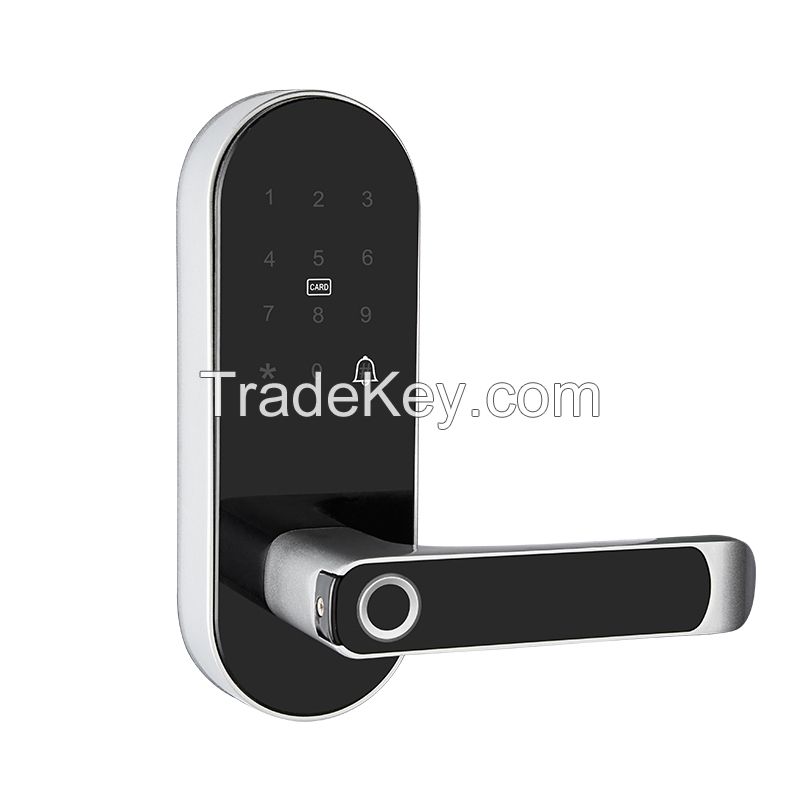 Fingerprint Electronic  TTLOCK Biometric Password Lock