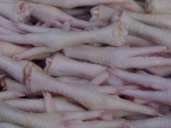 best frozen processed chicken feet and paw