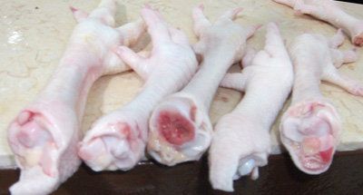 Chiken Feet, paw, halal whole Chicken for sale