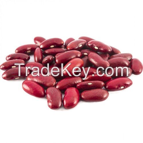 Wholesale dried organic red beans dark red kidney beans