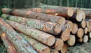 White/Red Oak logs