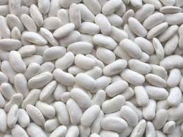 White Bean Seed