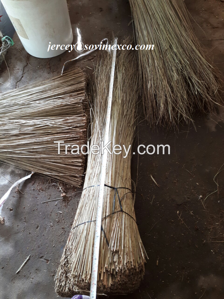 SELL COCONUT BROOMSTICK