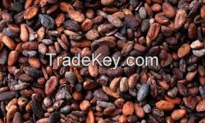 cocoa beans, cocoa butter, cocoa oil, cocoa powder