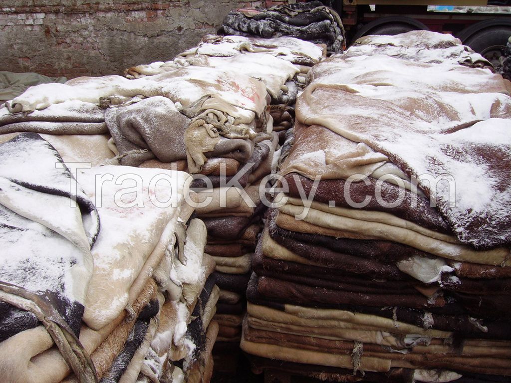 donkey hides, cow hides, sheep hide, goat hide, wet salted and dry salted