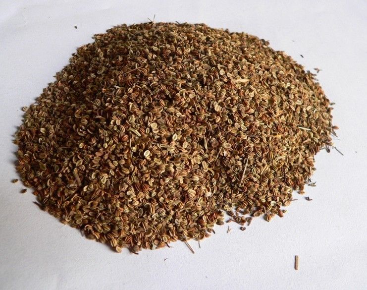 Cnidium Monnieri Seed Powder Extract with 35-98% Osthole