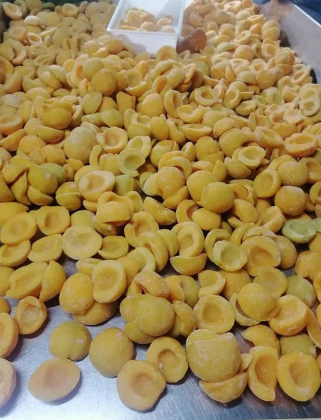 Sell Offer Fresh Yellow Peach Canned Yellow Peach with Cheap Price