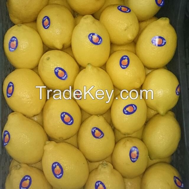 Fresh adalia lemon