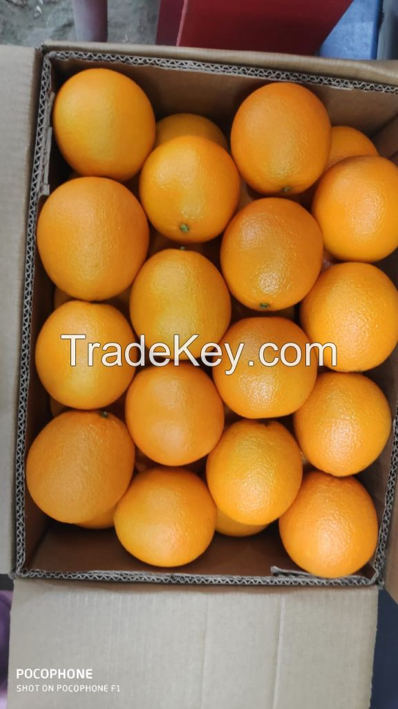 Fresh valencia orange
