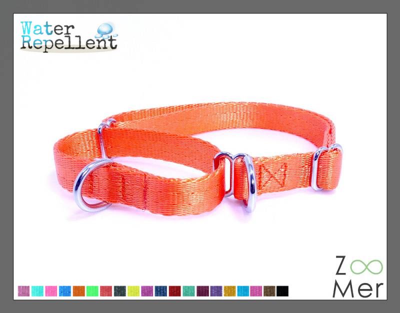 Water Repellent Twilled-Nylon: Dual Way Martingale Dog Training collar