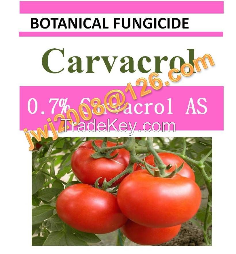 0.7% Carvacrol AS, botanical fungicide, plant extract, good effect on gray mold