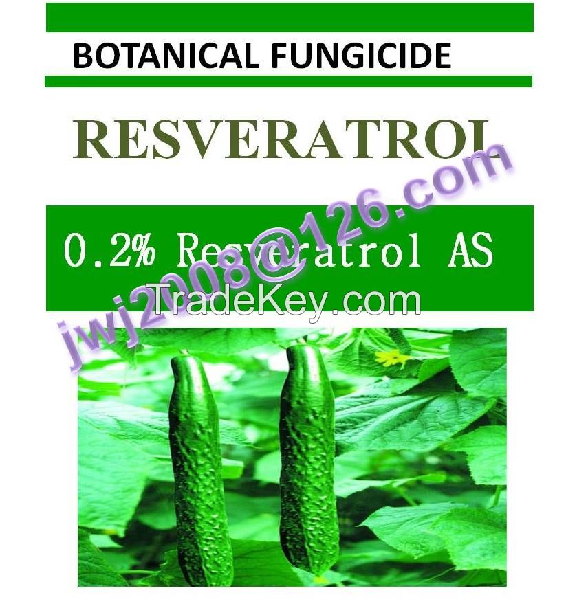 0.2% Resveratrol AS, biofungicide, botanical pesticide, plant extract, good effect on gray mold, root rot