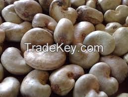 Raw Cashew Nuts for sale