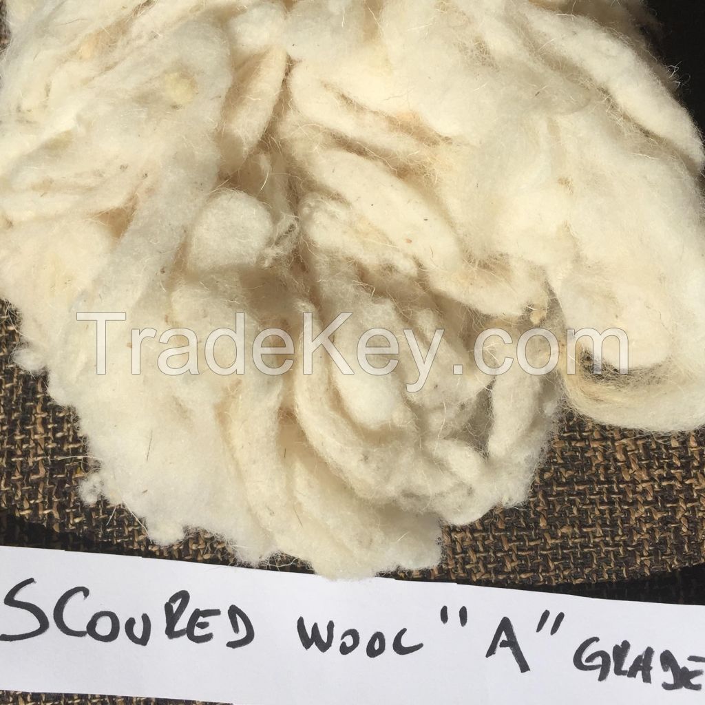 Scoured Sheep Wool