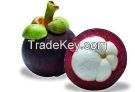 mangosteen