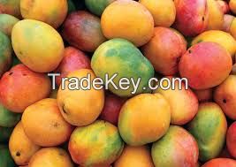 mangoes