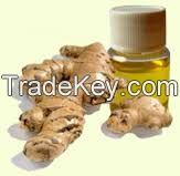 ginger  oil