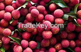 litchi fruit