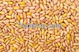 yellow kidney beans