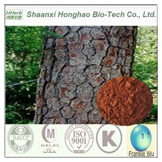 100% Pure Natural 95% OPC Pine Bark Extract Pycnogenol