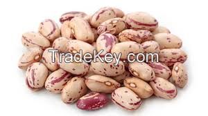 Pinto Dry Beans