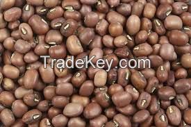 Vigna beans