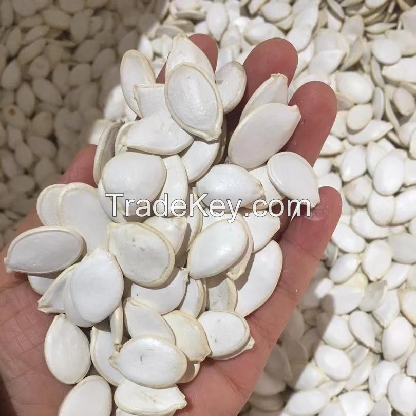 Cheap White Pumpkin Seeds Names Sell Pumpkin Seeds For Sale