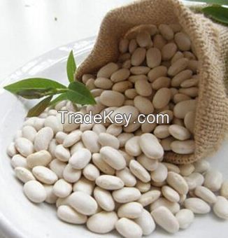 White Kidney Beans