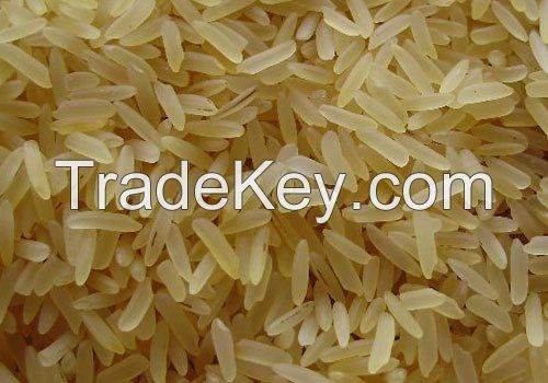 Organic Rice Basmati- Extra Long Grain Rice