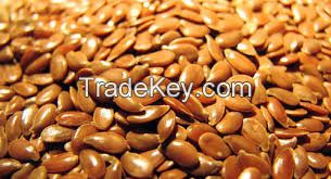 Flax Seeds