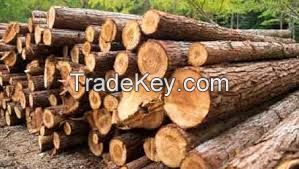 Timber wood