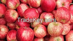 Red Royal Gala Apples