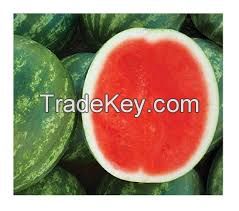 seedless watermelon seeds