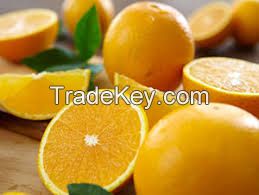 navel and valencia oranges