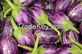 Fresh Eggplant