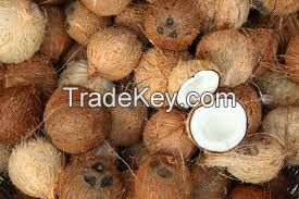 Coconut shell