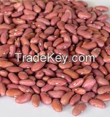 Cocoa Beans