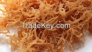 SEA MOSS